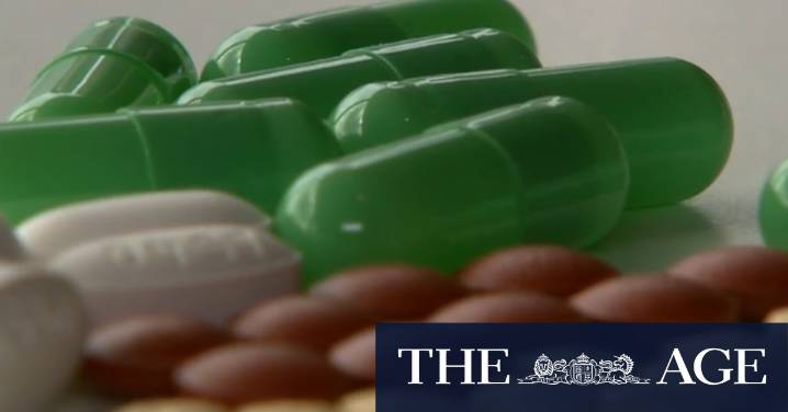 Queensland health experts slam new laws that ban pill testing