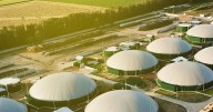 TruAlt Bioenergy IPO: Check Day 1 Subscription Status, GMP, Other Details