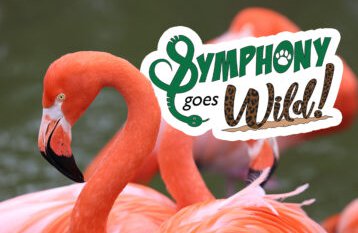 EVENT REMINDER: Alabama Symphony Orchestra Goes Wild
