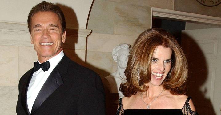 Arnold Schwarzenegger Shades Maria Shriver for Taking 'Half of My Money' in Divorce