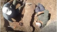 Colonia Avelina: comenzó el operativo para extraer los restos de gliptodonte