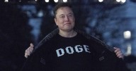 Musk loses crown as the world's richest person to Larry Ellison and then snatches it back.