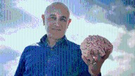 Why Are Humans So Smart? Allow Us To Introduce You To The Neocortex