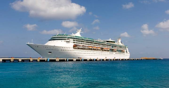 Royal Caribbean Cruise Ship Makes Stunning Rescue of Castaways on a Makeshift Raft