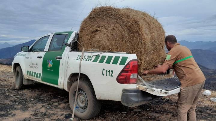 Alimento para los animales afectados por los incendios de Picos en León: celadores depositan comida