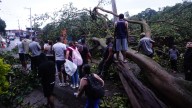 Gigantesco árbol cayó en Morrorico y bloqueó la vía Bucaramanga