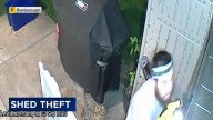 Accused shed thief caught on camera stealing landscaping equipment in Philadelphia's Roxborough section