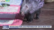 Seattle's Woodland Park Zoo prepares for 'OktoBEARfest'