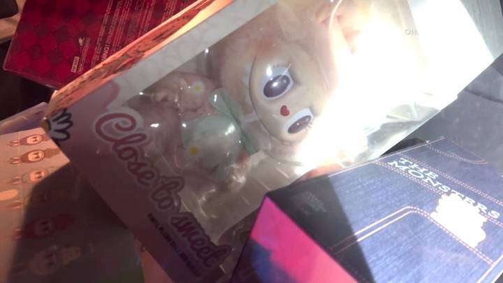 Stolen Car Loaded With Labubu Dolls Crashes in Pursuit