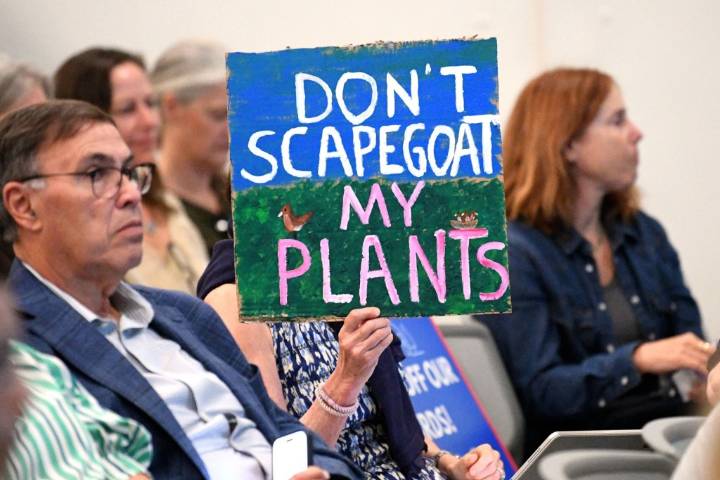A new ‘Zone Zero’ defensible space draft rule grows in controversy at Pasadena meeting