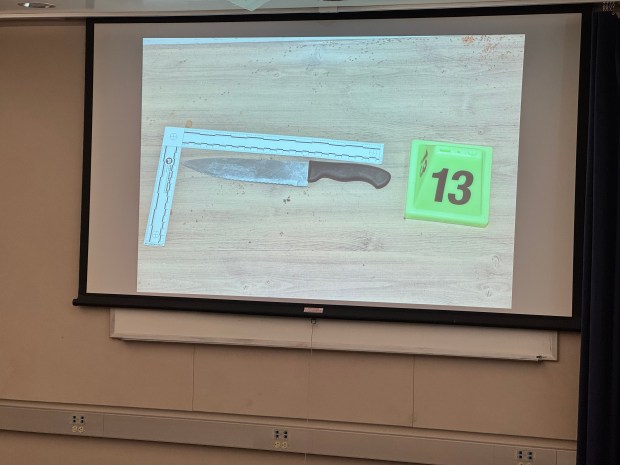 Santa Clara: Man was actively stabbing roommate when fatally shot by officer, police say