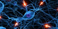 Nueva esperanza para el párkinson: descubren hormona que protege neuronas