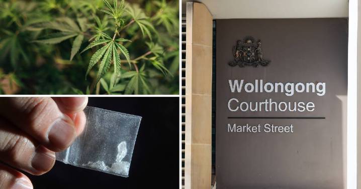 Shell Cove man jailed for dealing the drugs meth, cannabis