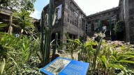 Recorridos nocturnos en el Museo Frida Kahlo: Fechas y detalles