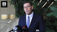 Beleaguered Townsville Mayor Troy Thompson resigns, vows to run again