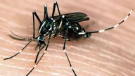 Where are NJ's first West Nile cases of 2025?