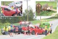 Pickup truck slams into Amish horse-drawn buggy in upstate NY, killing horse and sending 6