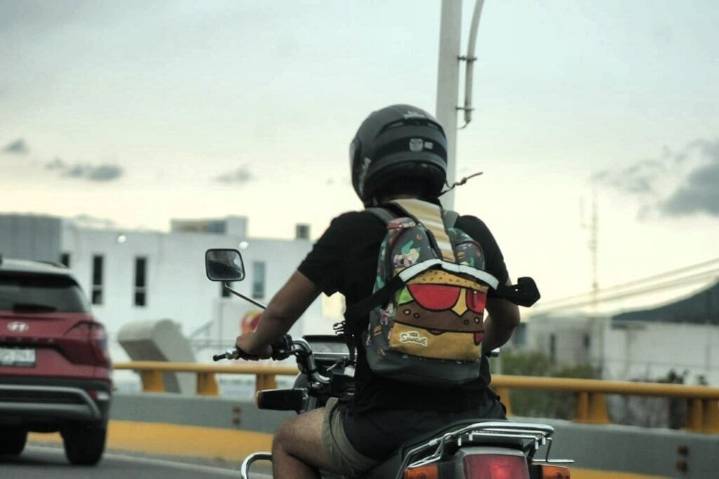 Busca Congreso revertir rotulado de cascos con una nueva iniciativa