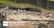 Howard County opens third flood mitigation project in Ellicott City
