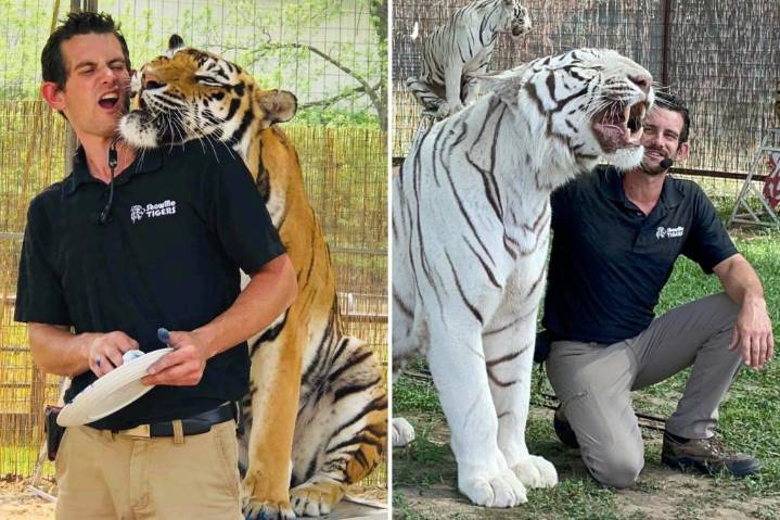 Tiger handler and 'Joe Exotic associate' fatally mauled by tiger at Oklahoma preserve
