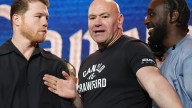 Canelo Alvarez vs Terence Crawford undercard - Who else is fighting on Las Vegas card?