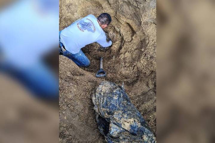 Desconfianza y negligencia: obstáculo en las denuncias por desaparición