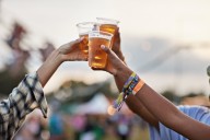 Mosquitoes especially attracted to beer drinkers, study shows