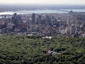 After a period of economic growth, unemployment rises in Montreal ahead of municipal vote
