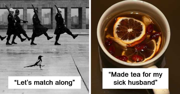 44 Times People Took A Picture Only To Realize They’d Captured A Renaissance Masterpiece