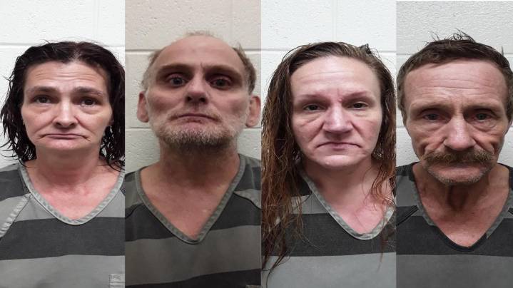71-year-old woman attacked by multiple dogs in Monroe County