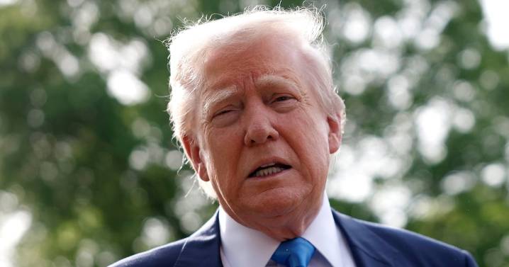 NATO Ally Blows Up Trump’s Excuse for Putin’s Shock Escalation