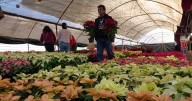 CDMX regala colchones, estufas y refrigeradores en Xochimilco: ¿Qué requisitos necesitas para la ayuda?