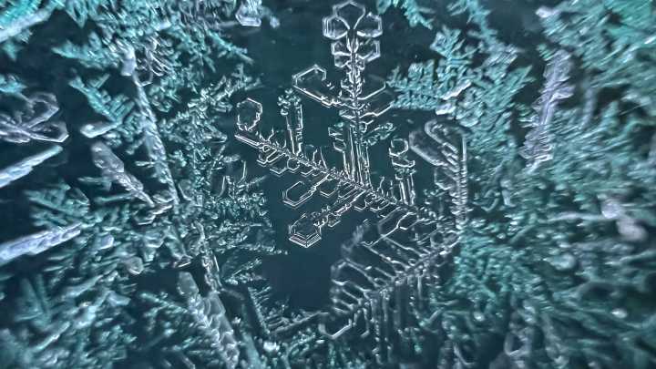 When will Michigan see frost, freezes? When to expect a chill