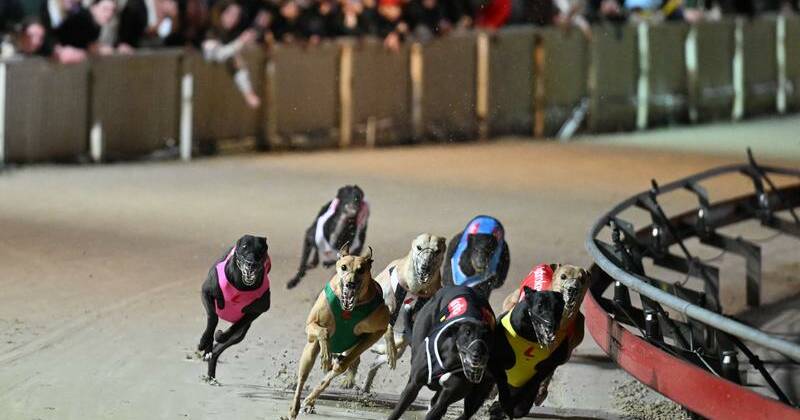 Lights out now the Dapto Dogs have had their day