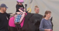 Minnesota's oldest therapeutic riding program provides horseback riding for those with disabilities