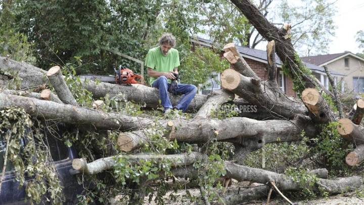 New study highlights gaps in preparedness for farmers after Hurricane Helene