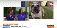 Savannah Kennel Club presenting Wagfest 2025