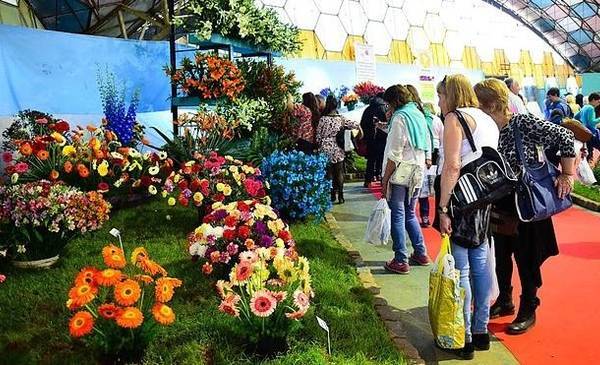 La ciudad que está a 50 kilómetros de Buenos Aires y tiene la Fiesta Nacional de la Flor