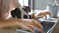 Microsoft employees ordered back to office • The Register
