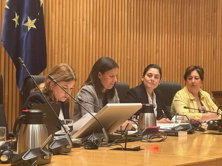 Exigen responsabilidades por los fallos del sistema Cometa
