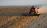 Productores de Córdoba contra Milei por la vuelta de las retenciones: "Usados"