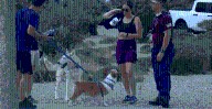 Inaugural 'Run the Runway Mutt Strut' at Double Eagle II marks airport growth