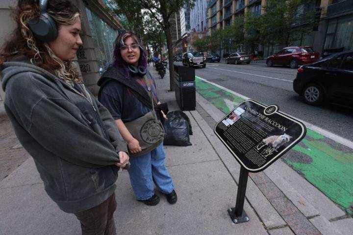 Taxpayers stuck with bill from equity-obsessed city charity 