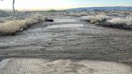 Oasis of Mara Trail in Joshua Tree closed after flood…