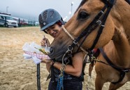 Pennsylvania must act now to stop horse slaughter