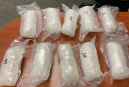 His Panda Express job wasn't cutting it, so he arranged to sell 30 lbs of meth in San Jose