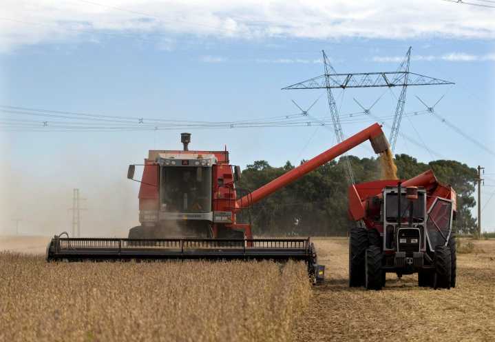 Exclusive: India buys record Argentine soyoil volume after export duty scrapped, sources say