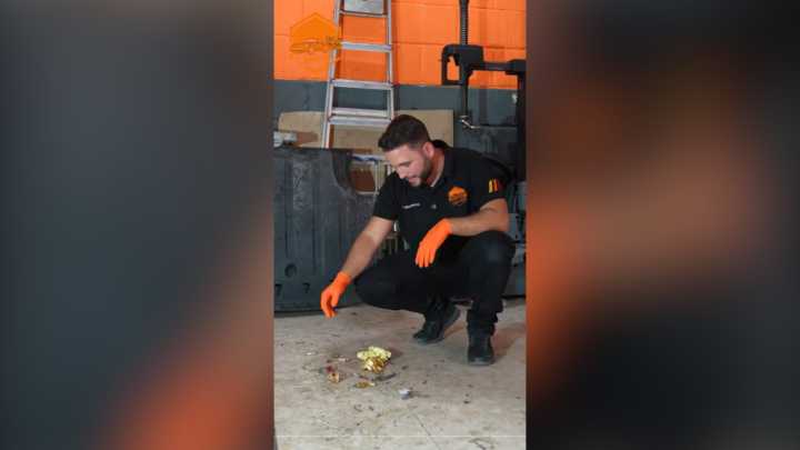Juan José Ebenezer, mecánico de Sevilla: "Este animal se mete en tu coche, luego tenemos que desmontarlo y sacar todos estos huesos"