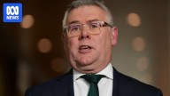 Senate inquiry examines federal environment department's SA algal bloom response