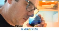 ¿Cómo reconocer y elegir un buen aceite de oliva? Los consejos de un experto sanjuanino